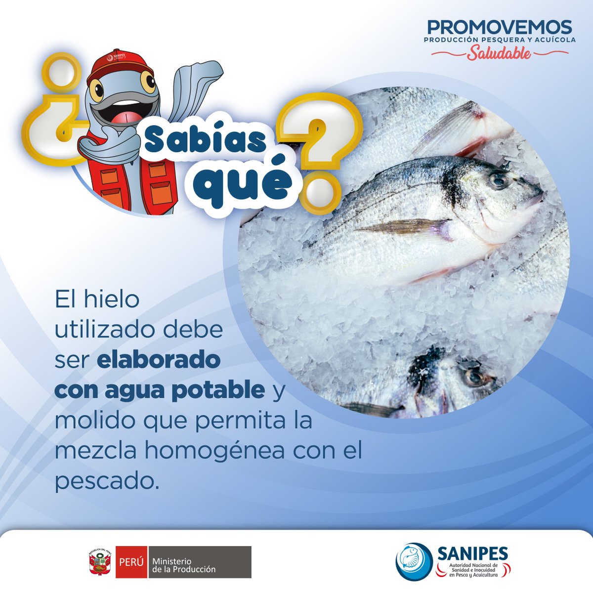☝🏽 Recuerda, tu vendedor de productos hidrobiológicos debe exhibirlos con abundante hielo para mantener su frescura. 🐟🦐🐙

Lee la #NotaDePrensa 
🌐 gob.pe/es/n/1315653

#inocuidad #comesanoyseguro #sinhielonoloquiero