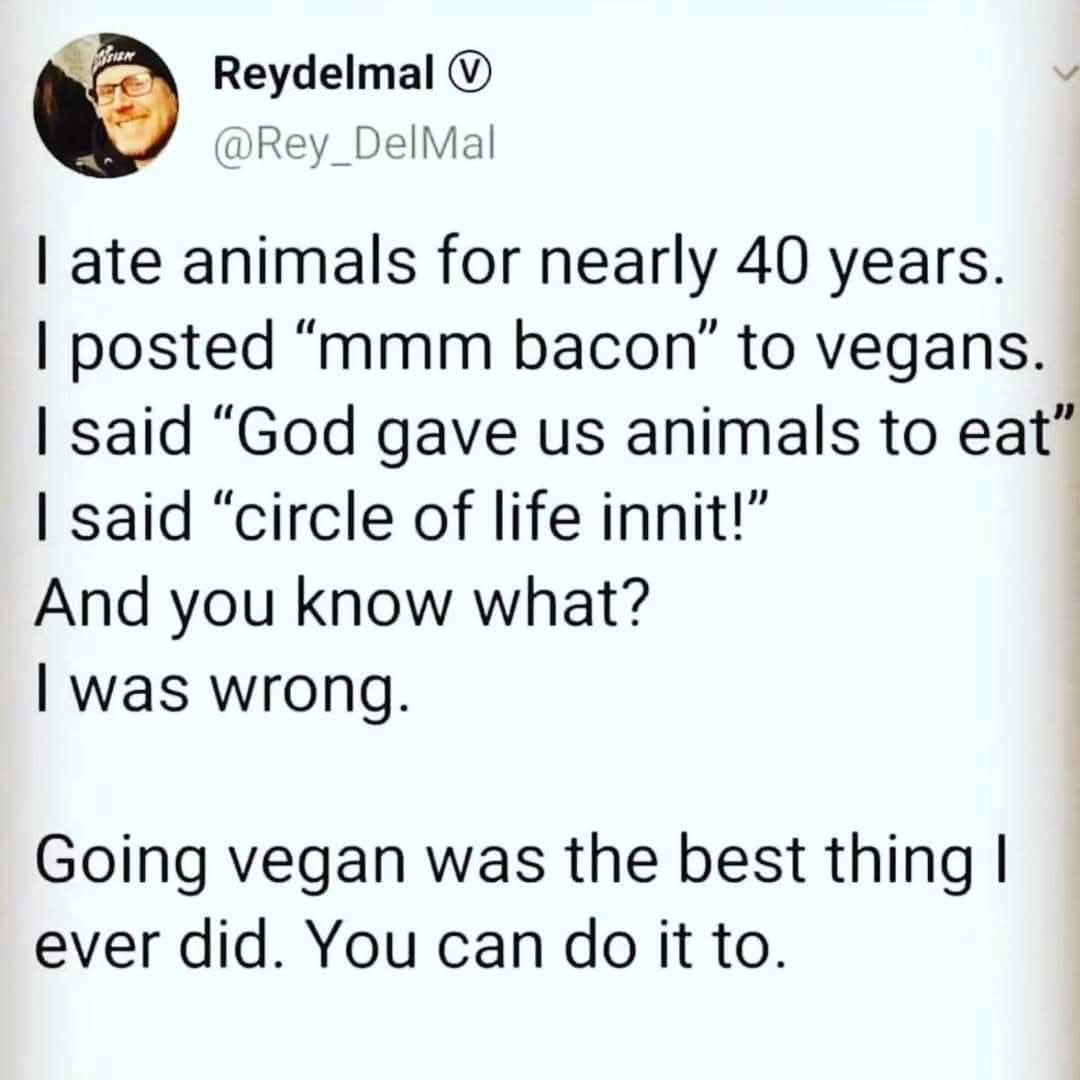 Dervilla(v) tweet media