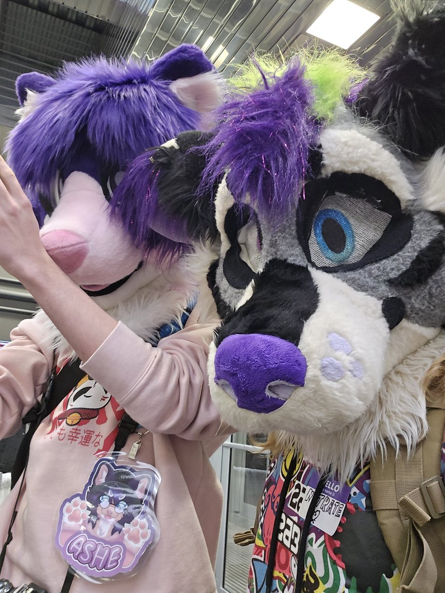 The creatures 
Feat. <a href="/AsheIsRacc/">🦝 Ashe 🦝</a>