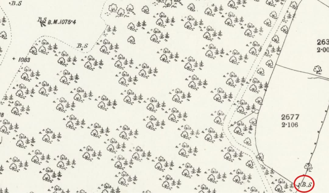 Anth Rowley tweet media