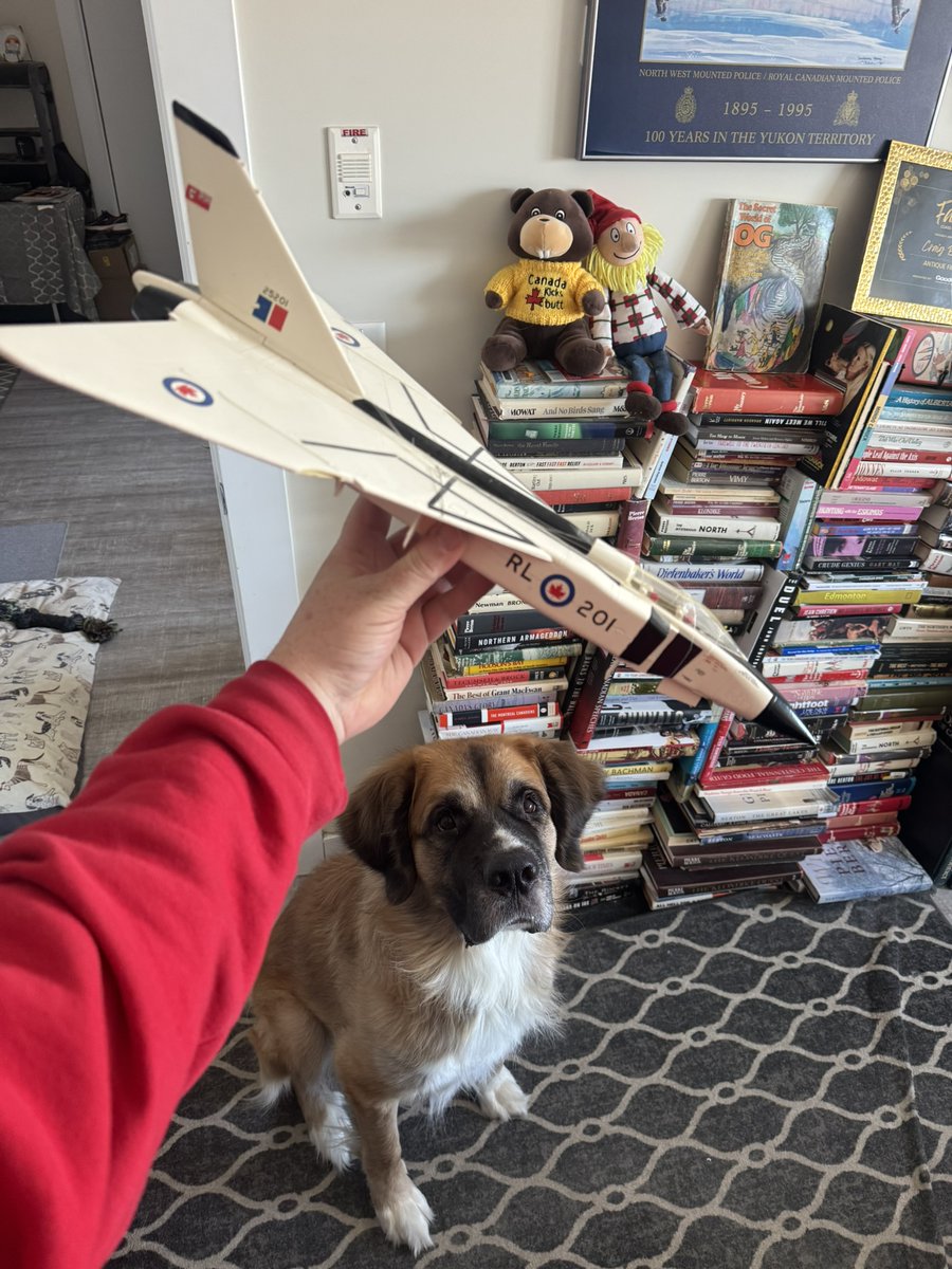 Today I found arguably one of my favourite gems at the thrift store. 
A model of RL-201, the first Avro Arrow that was unveiled to the public on Oct. 4, 1957.