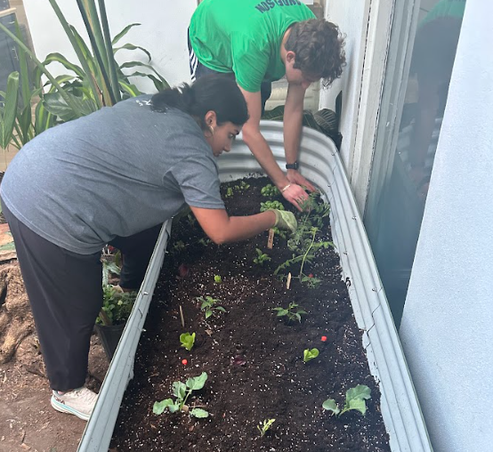 TheFAFCC's tweet photo. In a community facing persistent food insecurity, UHI CommunityCare Clinic is thinking outside the box—and inside the garden. Partnering with FIU medical students, they launched an on-site vegetable garden to support patient nutrition and education. https://t.co/UqYGwUgxzb #FAFCC https://t.co/3qih54TOuP