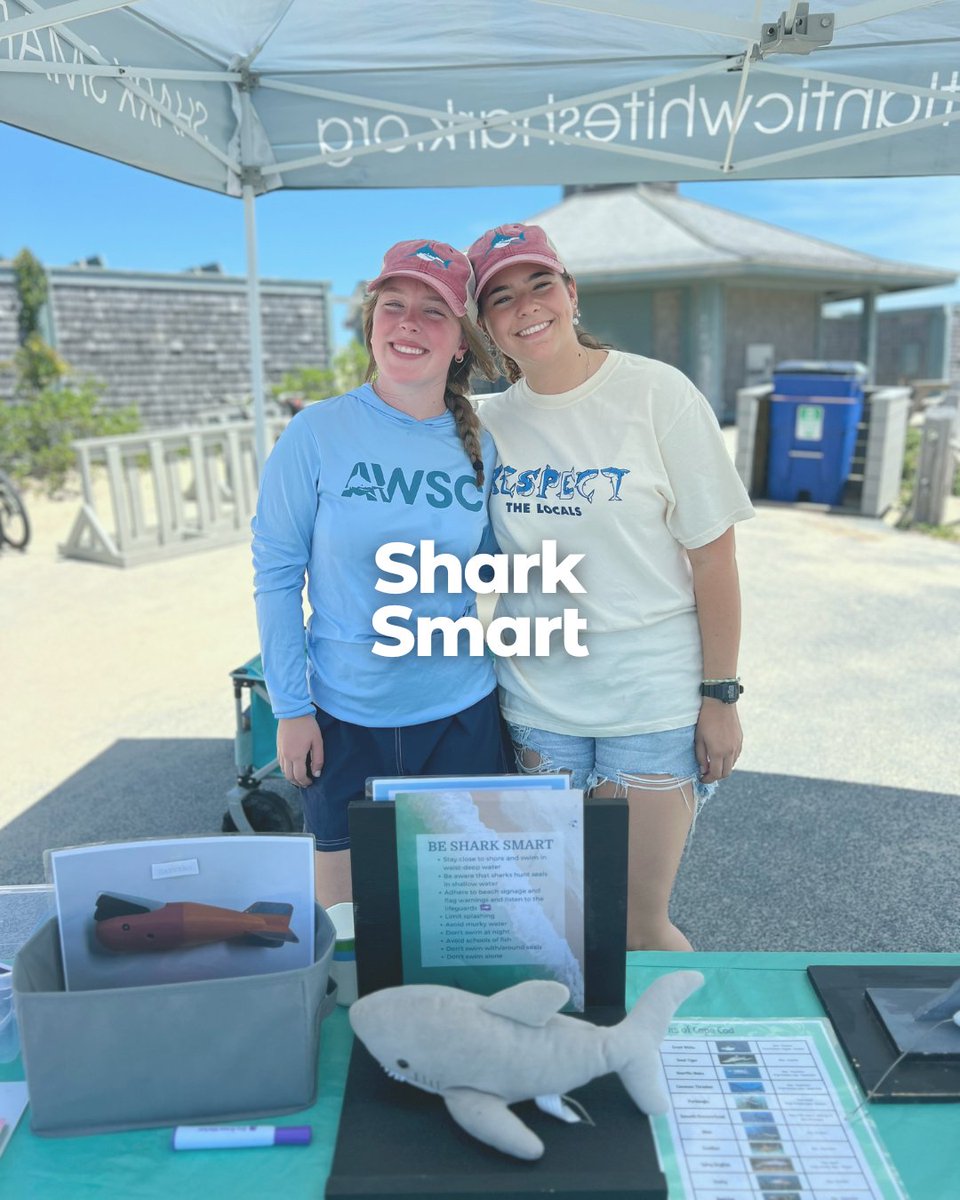 Atlantic White Shark Conservancy tweet media