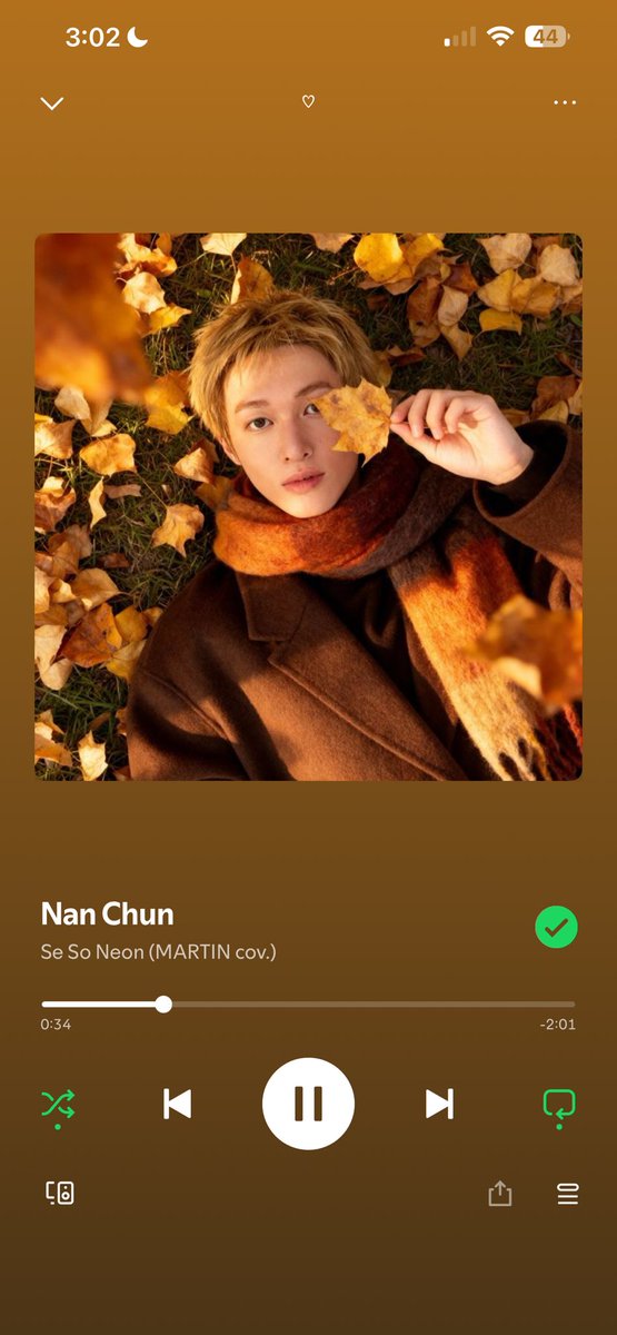 sanscatbyeol's tweet photo. I love making audios files on Spotify 🤤 https://t.co/Hhi3F6sEmO
