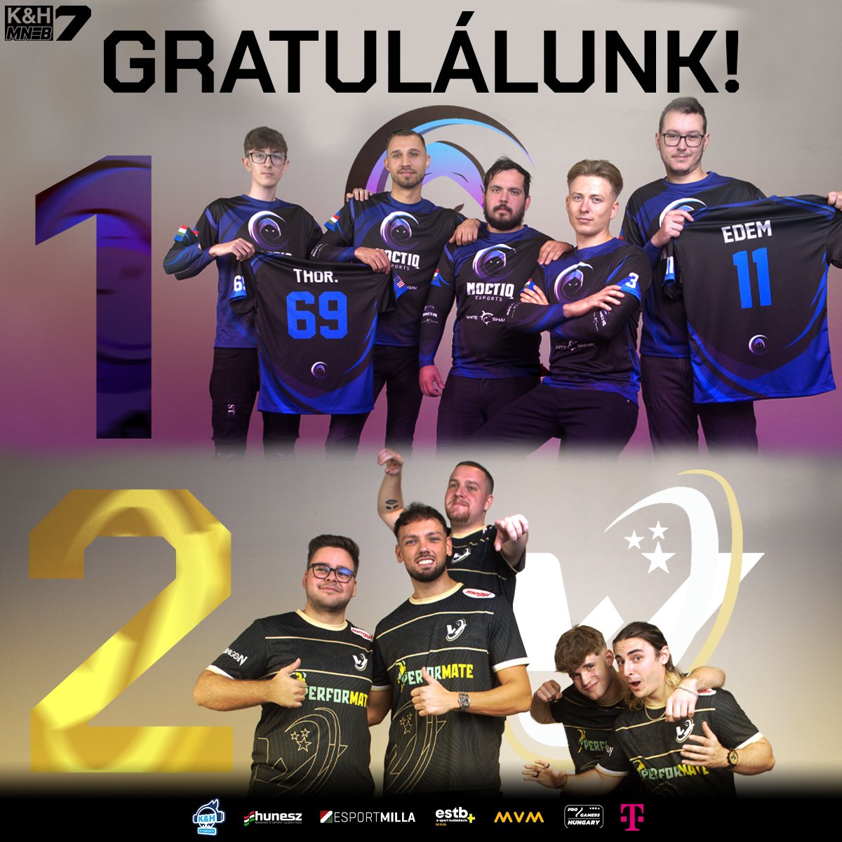 Magyar Nemzeti E-sport Bajnokság tweet media