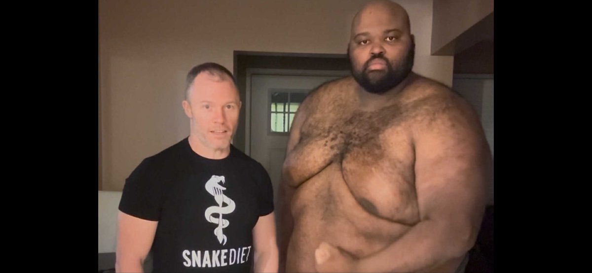 SNAKE DIET tweet media