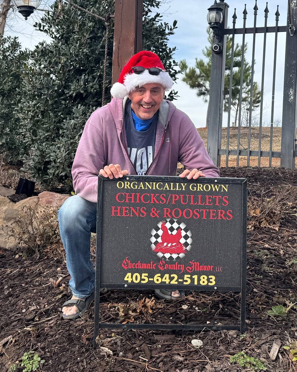 The Morning Animals tweet media