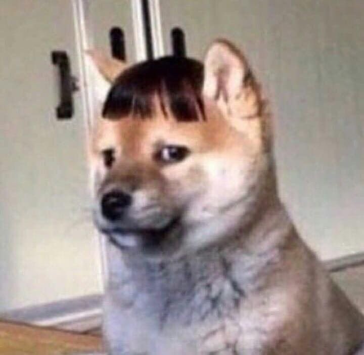 embarrassing as hell #bbvipks4