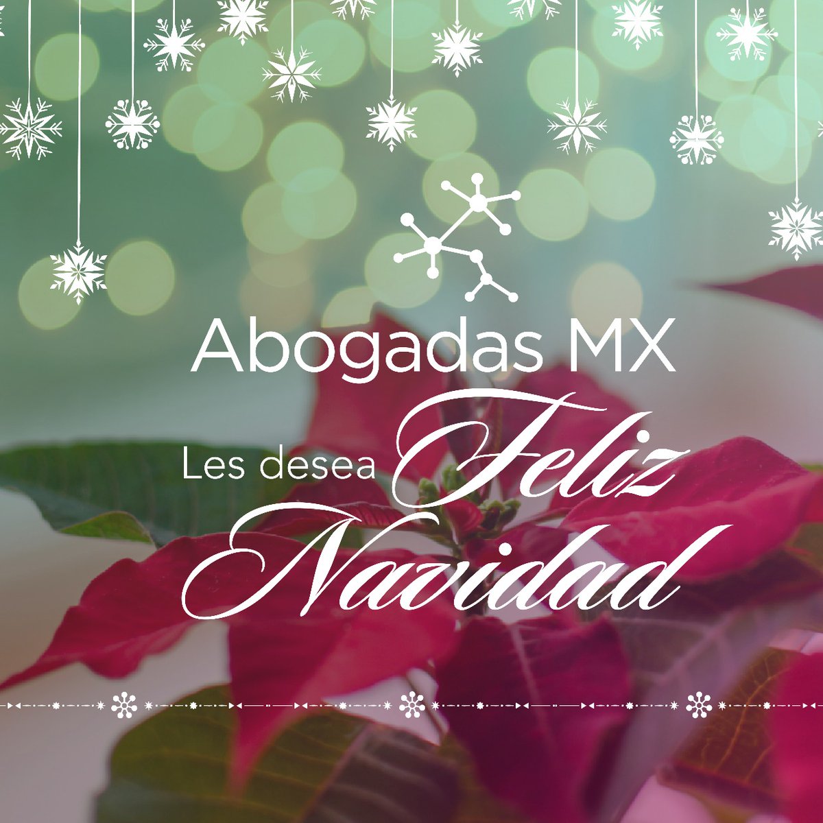 Abogadas MX tweet media