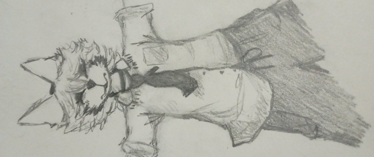 Ian Rojas (@legoshikuma101) on Twitter photo 