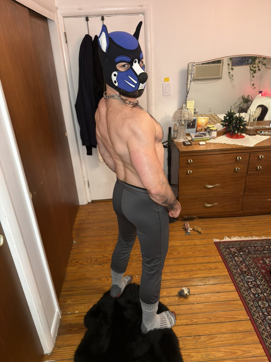 Puppy is buffed up and ready for winter 💪🏻

#musclepup #pupplay #boypup #puphood #gaypup