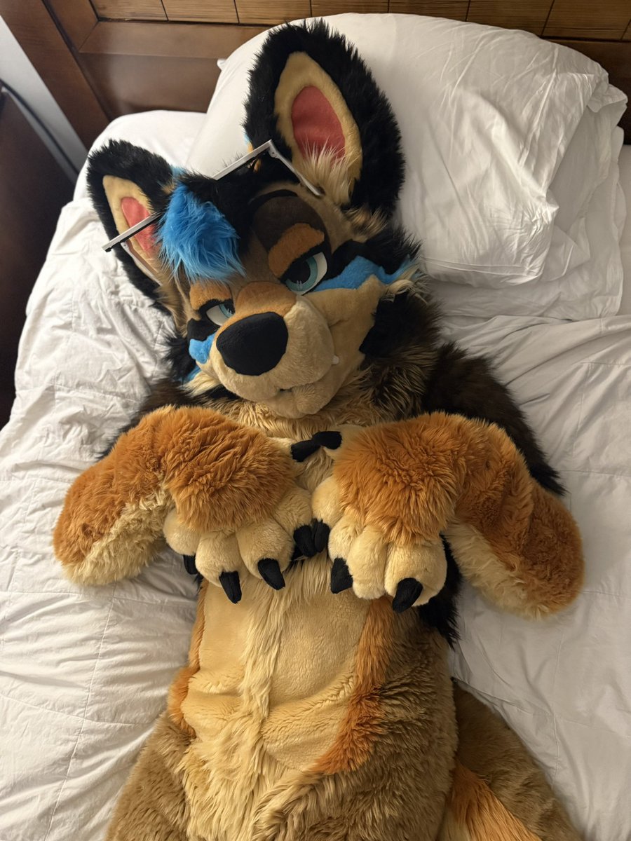 The Yotte 🔜 LVFC, FWA tweet media