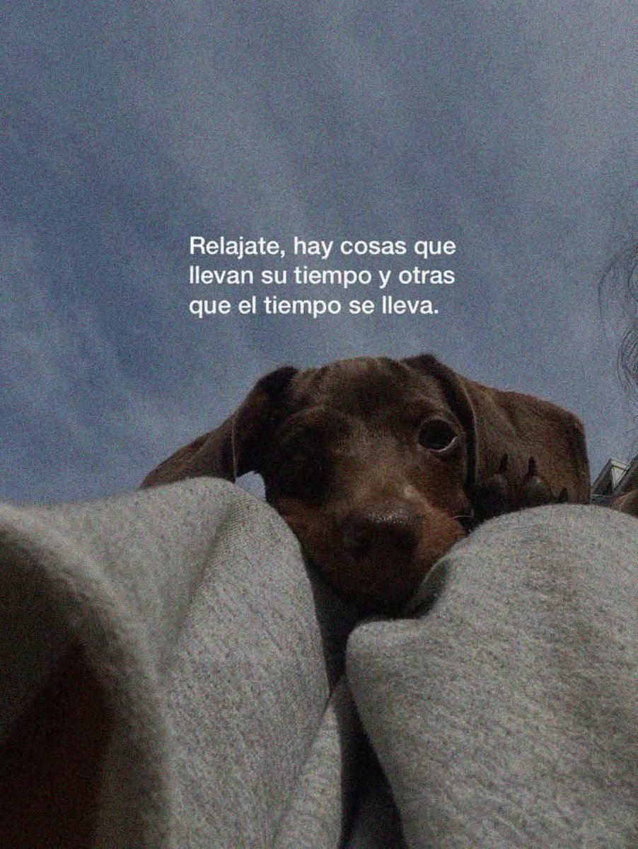 FraseSimple's tweet photo. https://t.co/sEMhtBdBWd