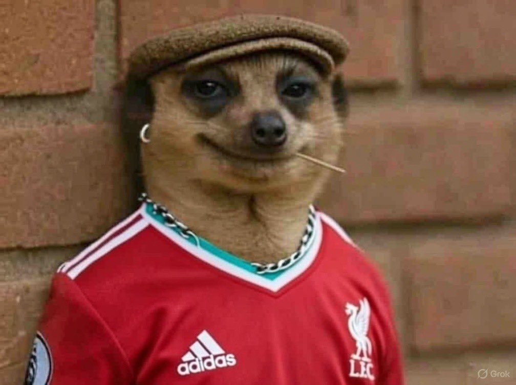 Emmanuel tweet media