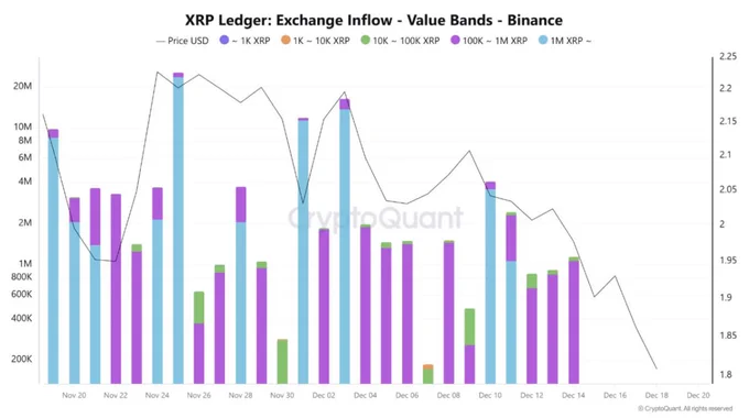 🚨Bureau : "Pressione di Vendita su XRP: I Wallet di Grandi Dimensioni Dominano i Flussi Nonostante l'Approvazione degli ETF"