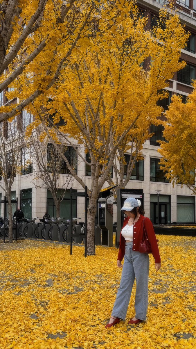 amana ༘⋆🌷 tweet media