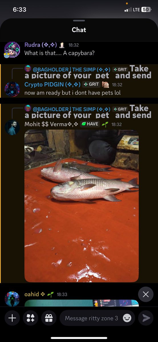 I was given the opportunity to host  a game called Scavanger hunt in <a href="/ritualnet/">Ritual</a>  together with @Paywithstella 💚

It was  a fun and great event 💚😂😂😂

See you all next week 

Thank you <a href="/Kash_060/">Kash (❖,❖)</a> for this opportunity

<a href="/joshsimenhoff/">Josh (❖,❖)</a> <a href="/Jez_Cryptoz/">Jez ritual/acc (❖,❖)</a> <a href="/dunken9718/">dunken(ritual/acc) (❖,❖)</a> <a href="/RitualNigeria/">Ritual Nigeria</a>