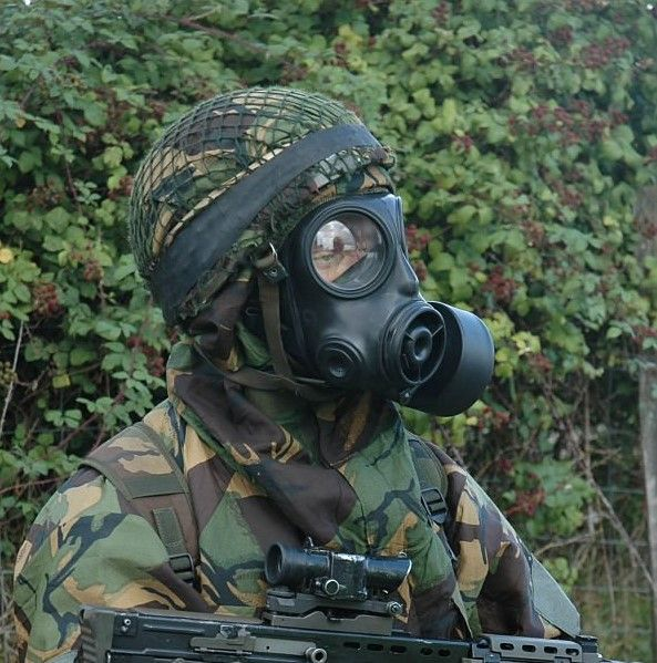 Offizier (@herroffizier_) on Twitter photo 