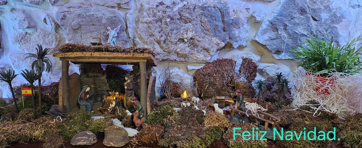 María Pérez Fernández tweet media