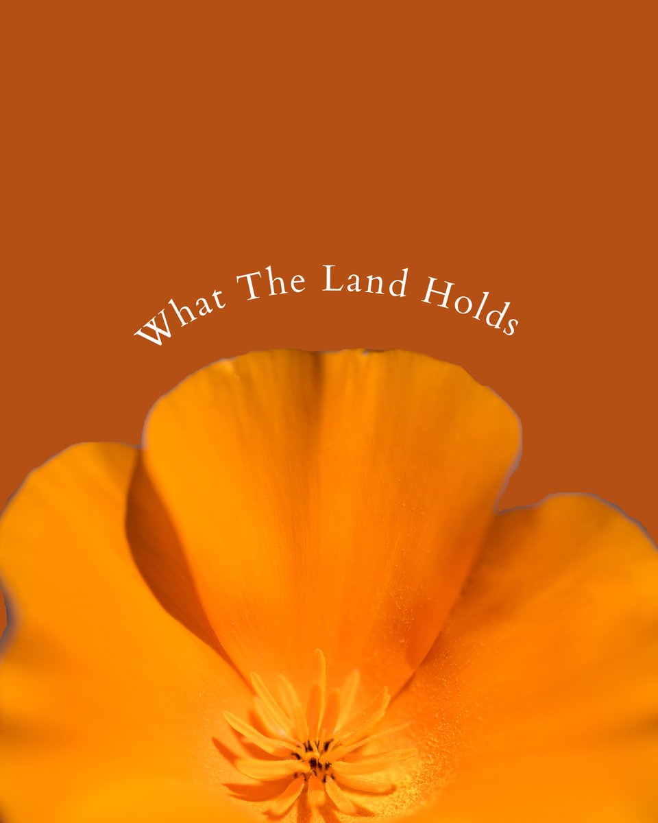 Tejon Ranch tweet media