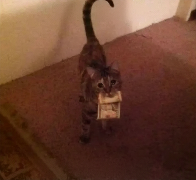 Binance Intern tweet media