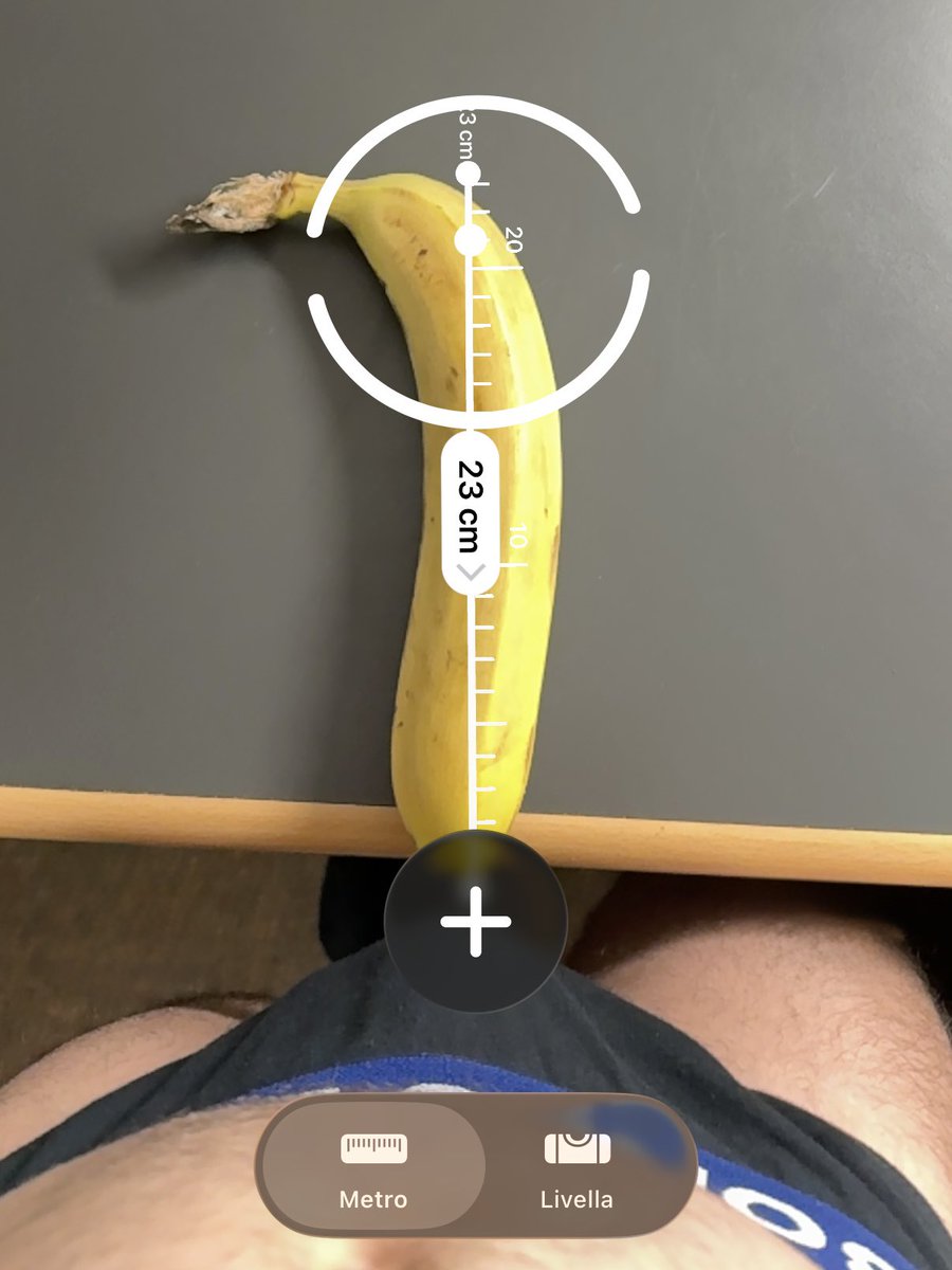 Alex 🇮🇹 tweet media