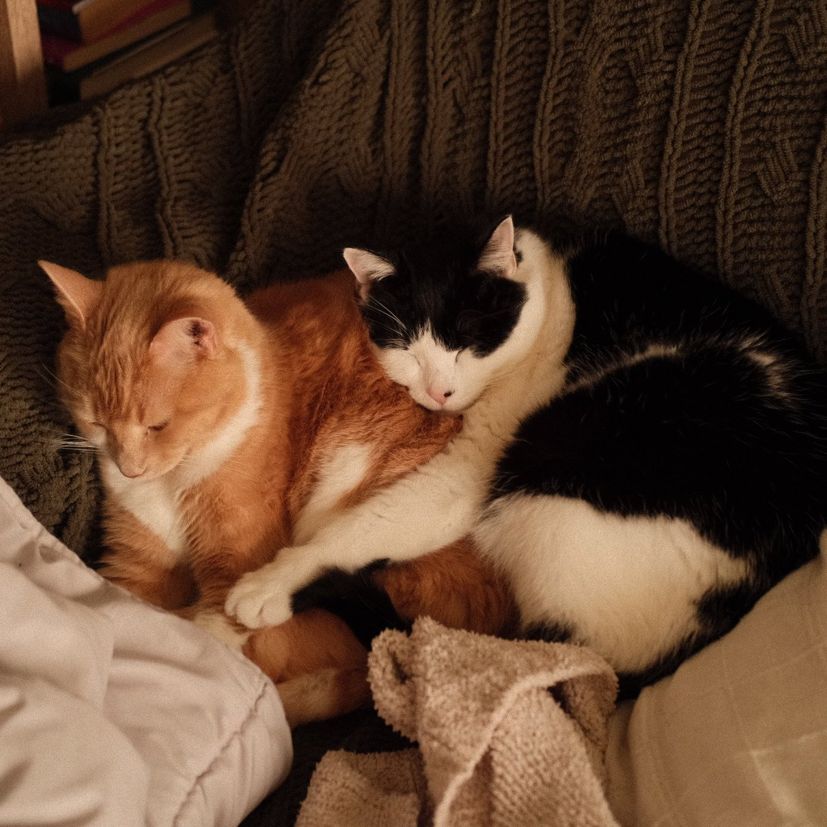 my babbbbbies