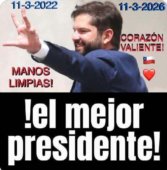 Mónica 🌳❤️ 🇨🇱 (@sepulvedamon) on Twitter photo 