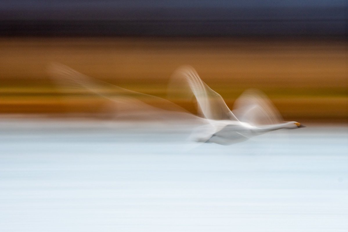 闇鍋(やみなべ) (@yaminabe) / Posts / X