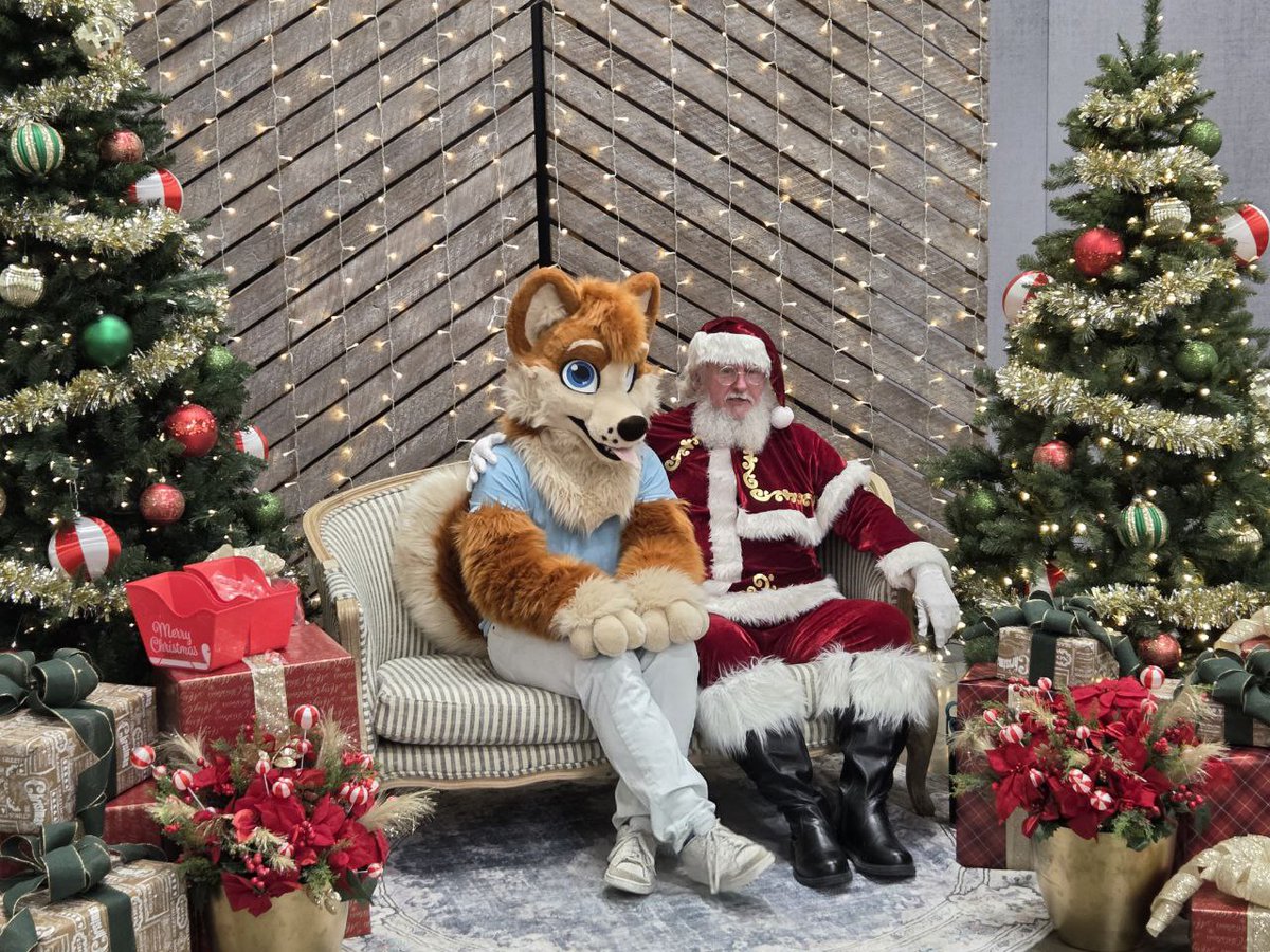 Toffee Corg tweet media