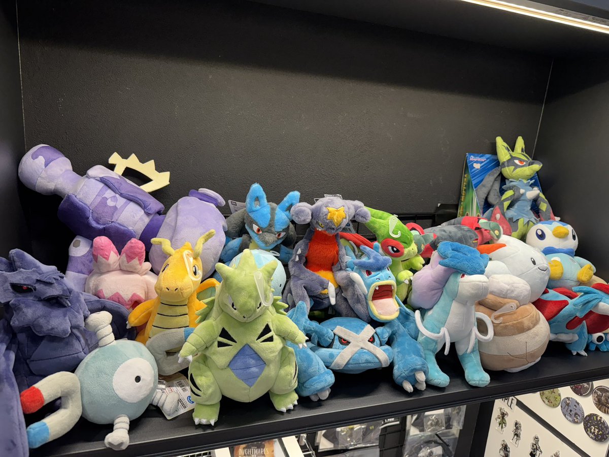 ポケモンのぬいぐるみが大量新入荷😳 ちょっとXでは紹介しきれない程