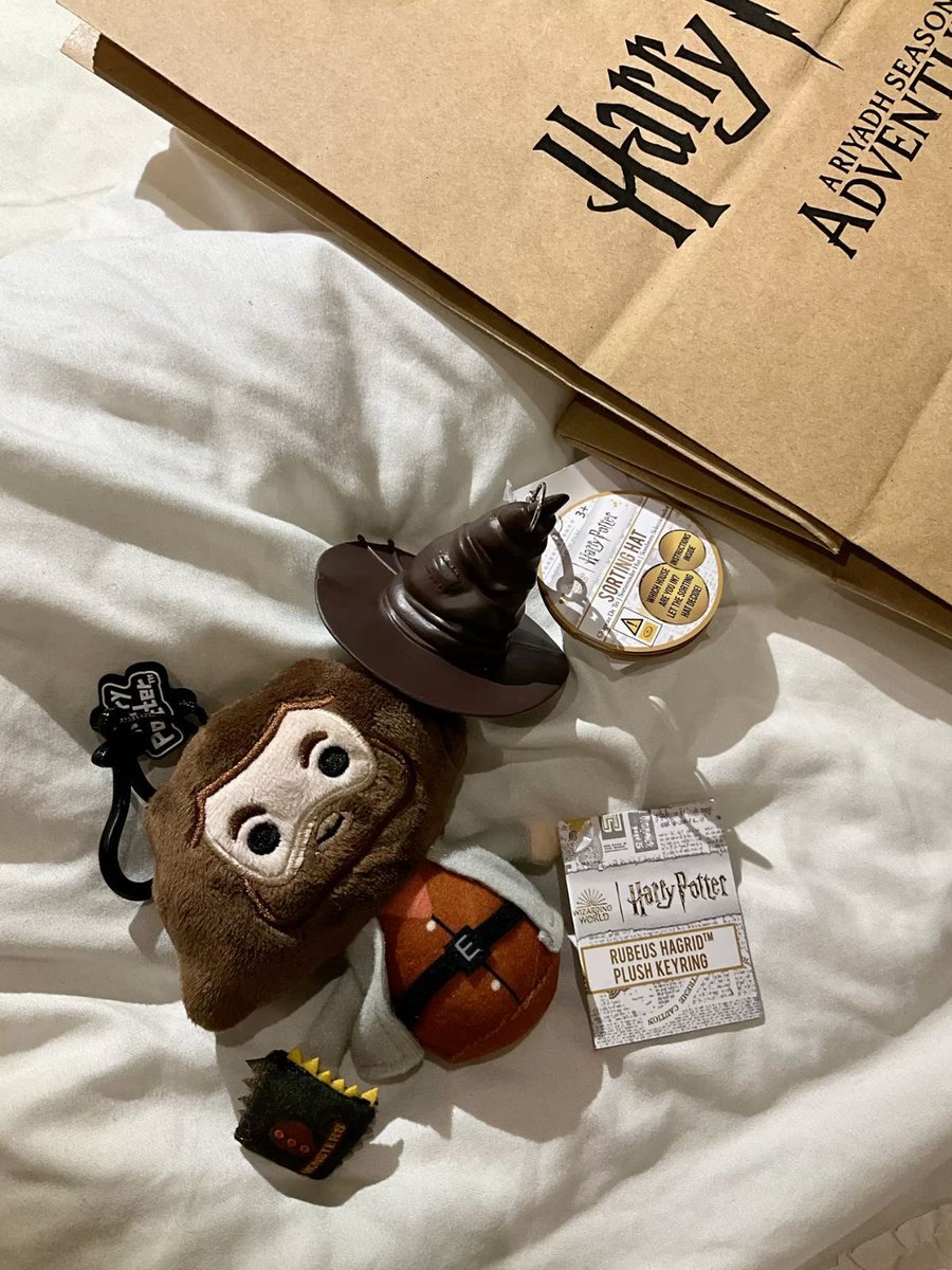 Rubeus Hagrid 🧙🏻‍♀️
#HarryPotter