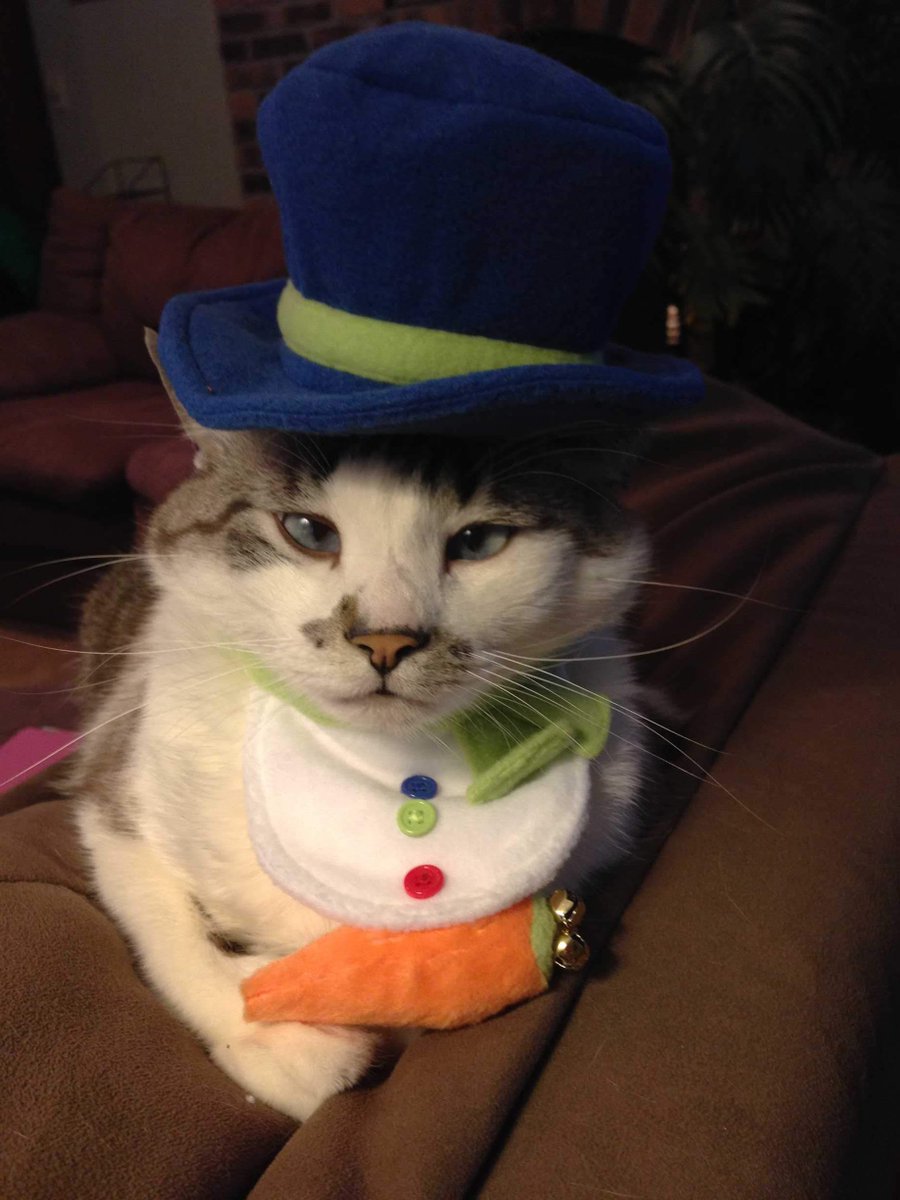 🐛🌷Dean🦋🪴 tweet media