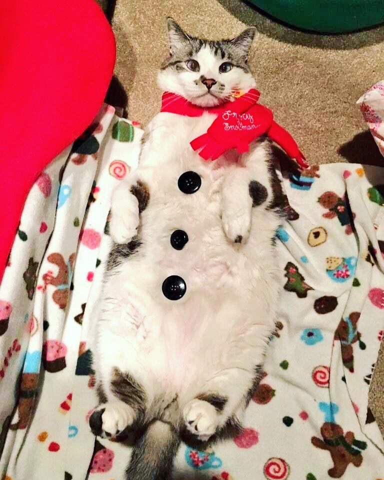 🐛🌷Dean🦋🪴 tweet media