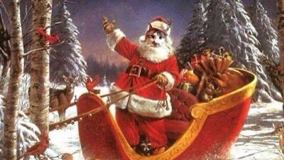 🐛🌷Dean🦋🪴 tweet media