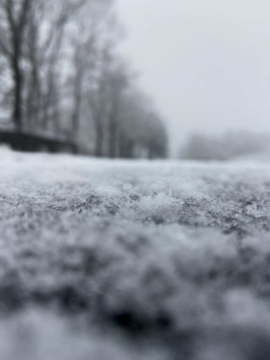 Sedat Anar | Beklemek