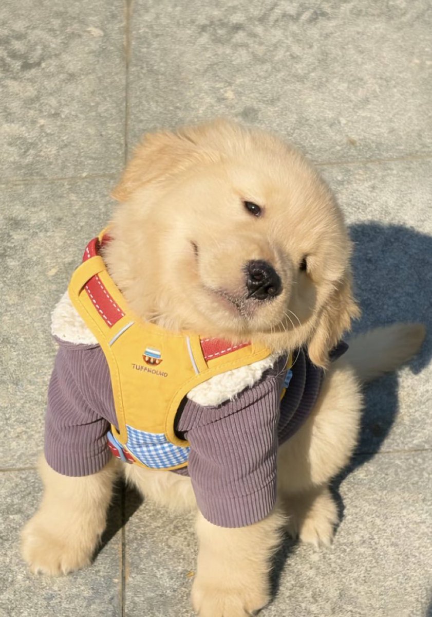 tonnyhahaha's tweet image. งอมยัยย