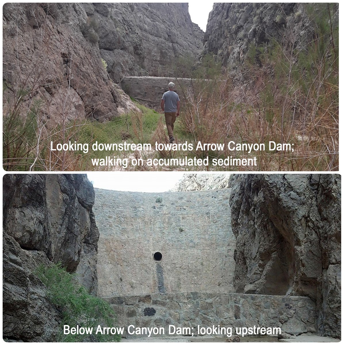 USGS Nevada tweet media