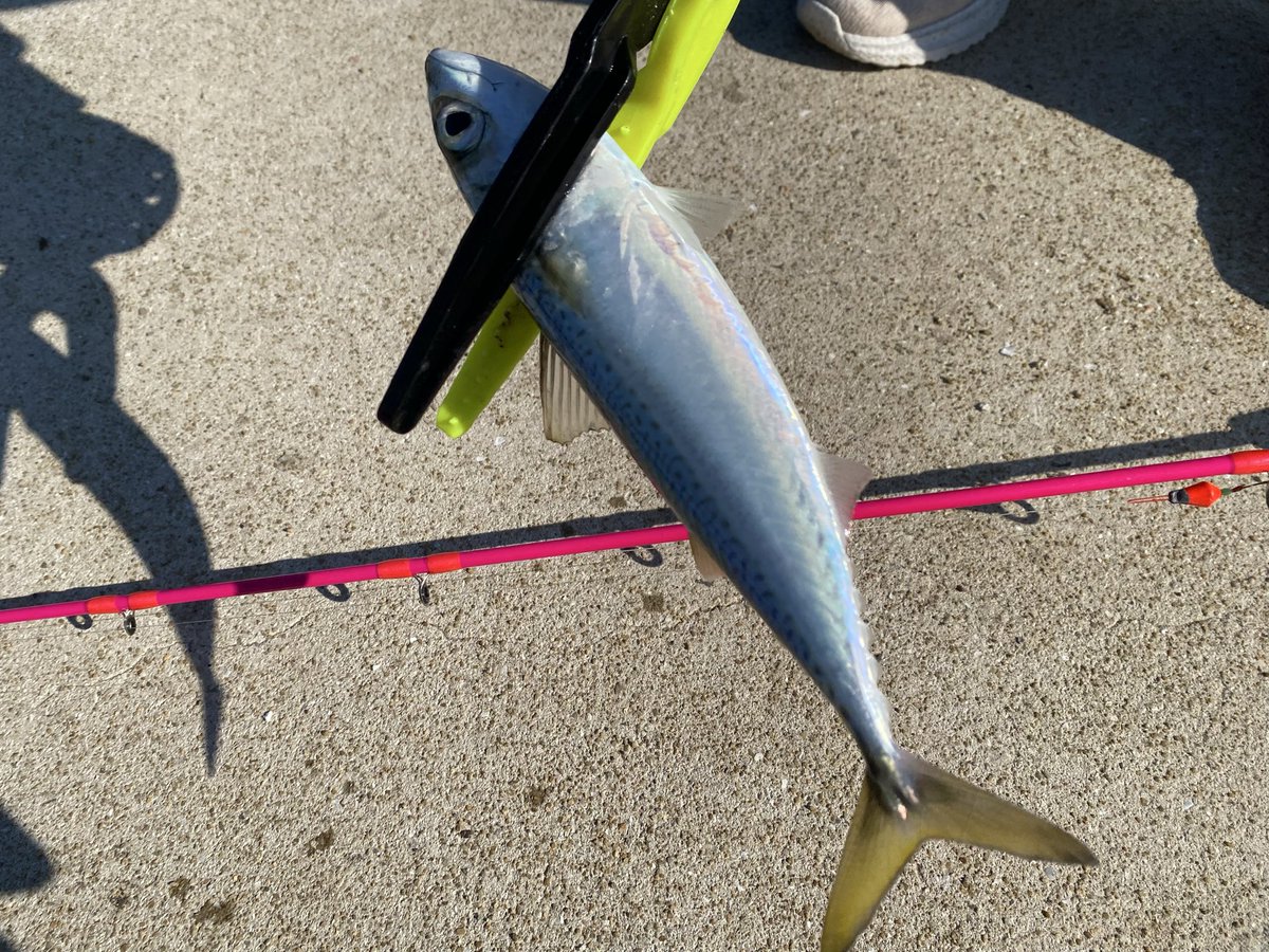 あんべ (@180sxAnbe) / Posts / X