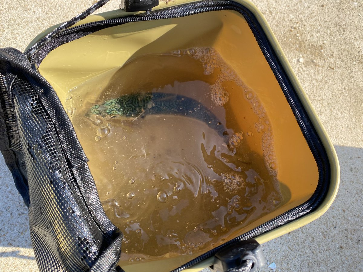 あんべ (@180sxAnbe) / Posts / X