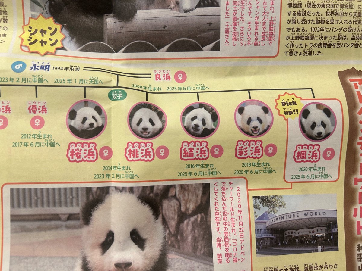 読売KoDoMo新聞のこの記事を見て、パンダの画像🐼間違えずに入稿するの