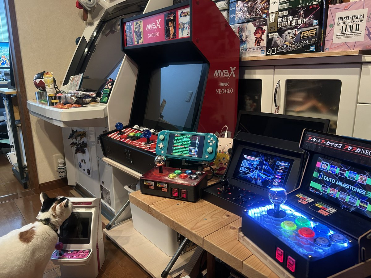 GEO版　レトロアーケード ドック開封！
自分的には最高！(≧∀≦)

やっぱりレバーボールに8ボタンは便利！連射機能あるし（15連射）
EGRET IIミニより、レバーボールは小さいです。ボタンは同じサイズ

アケアカ勢はSwitch→Switch2にした方、旧Switch本体をミニ筐体風に飾れば最高よ♪