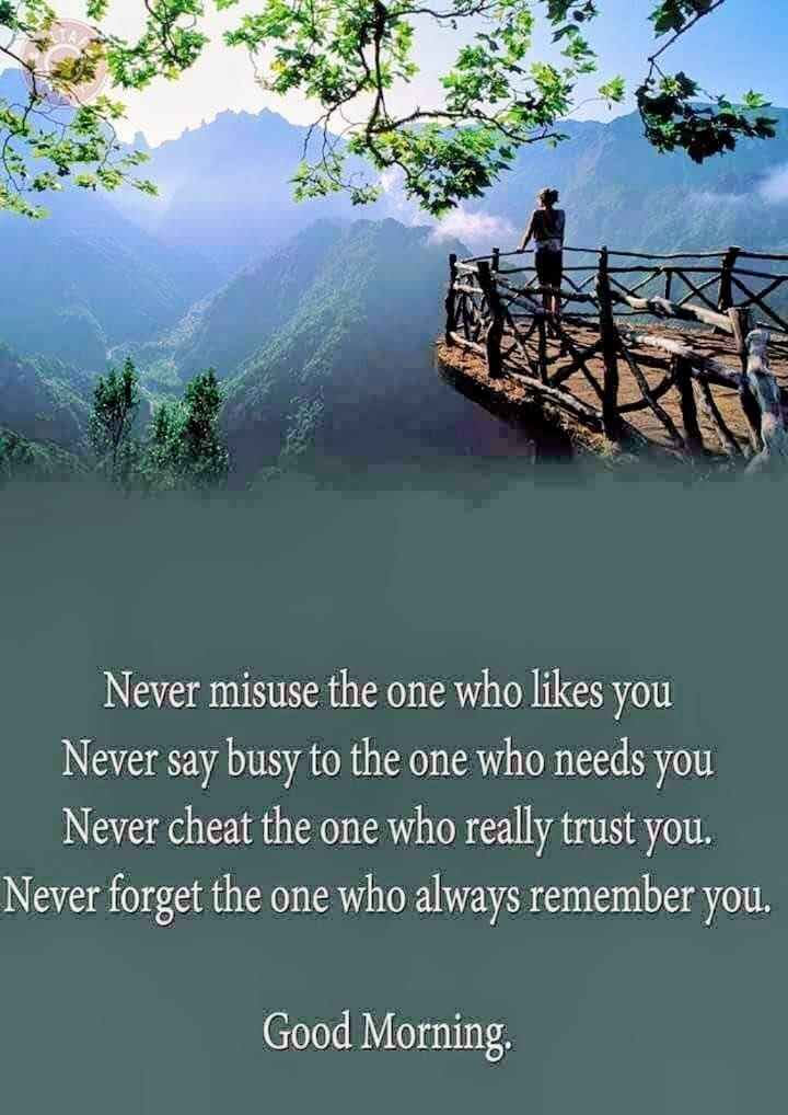 rams1971's tweet image. 