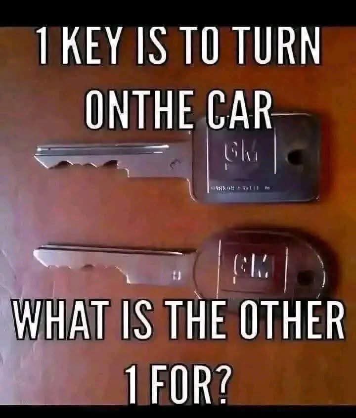 LadyValor tweet media