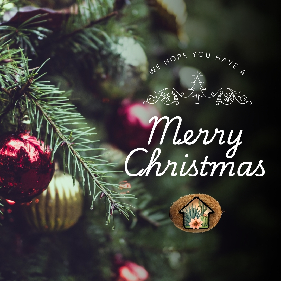 CoconutContrac1's tweet photo. Wishing you and your loved ones a Merry Christmas day filled with peace, warmth, and time together. Thank you for trusting us with your homes and outdoor spaces this year. We’re grateful for our community and look forward to serving you in the year ahead. https://t.co/d1N9JD8dYo