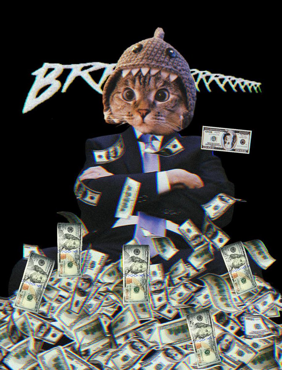 TheSharkKitty's tweet image. you can have all my dollars 

i denominate my net worth in meows and prrs now 

the ticker is $SC