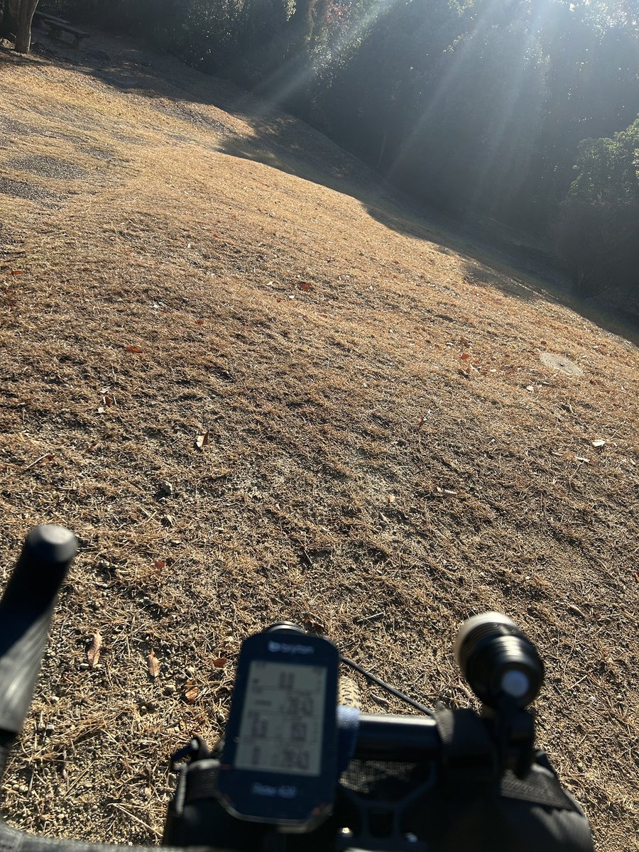 twobytwo_sp's tweet image. 今朝のポタリング🚴
今日はわりと暖かめ少し
ダート混ぜてユルユルカロリー消費🙄