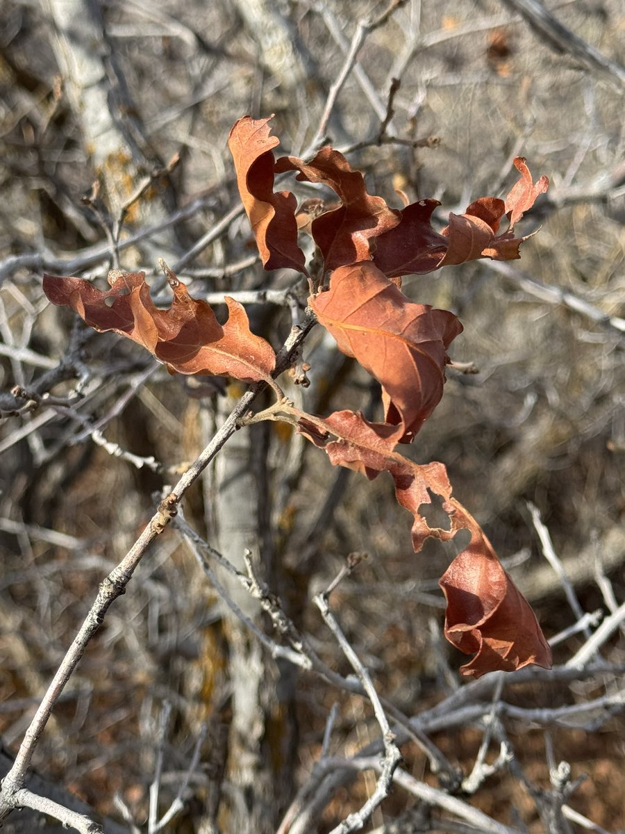 Winter is coming and the days are fast getting shorter and darker earlier. 

If it starts to feel like you’ve been left behind and most everyone else has moved on to something greater and more exciting, remember:

There is beauty in the darkness still. 

There is grace, and