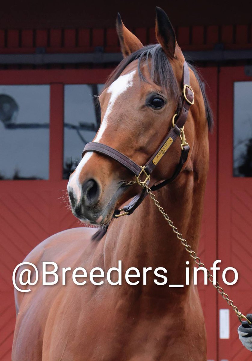 E3%82%BD%E3%83%BC%E3%83%AB%E3%82%AA%E3%83%AA%E3%82%A8%E3%83%B3%E3