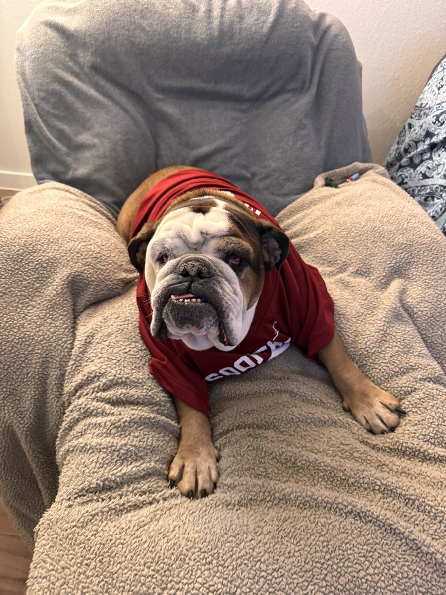 AKCHercules's tweet image. Rooting for @OU_Football #OklahomaSooners #SoonerNation #CFBPlayoff #dogsofX #dogs #dogsoftwitter #bulldogs #OUSooners